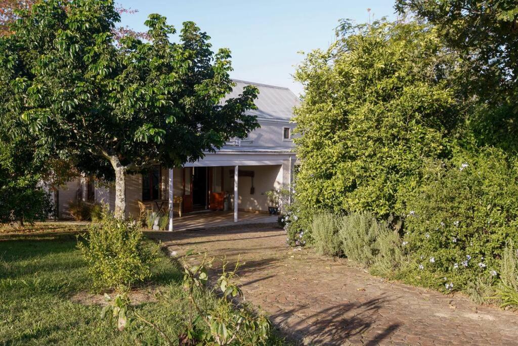 Photo of Buildings in Knysna