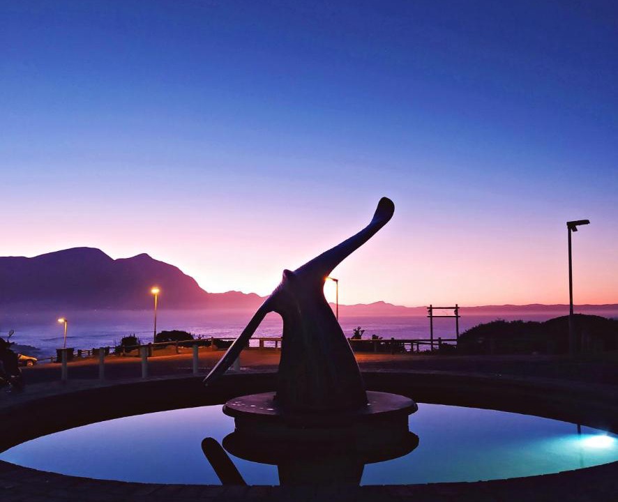 Photo of Others in Hermanus City-Centre