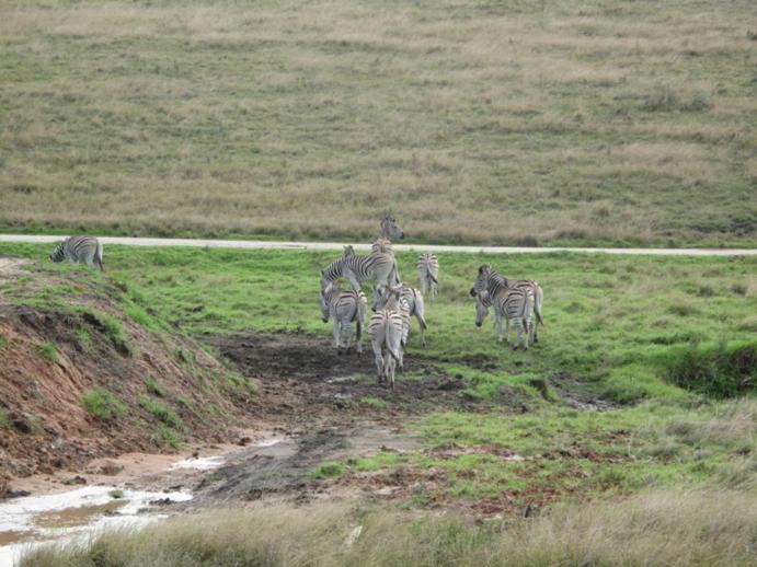 Photo of Others in Buffalo Hills Game Reserve