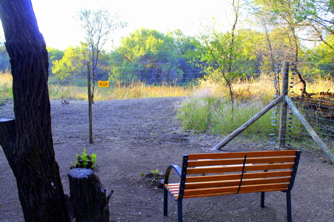 Photo of Others in Hammanskraal