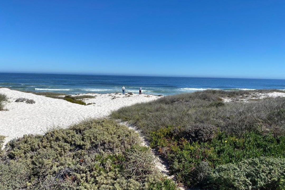 Photo of Others in Yzerfontein