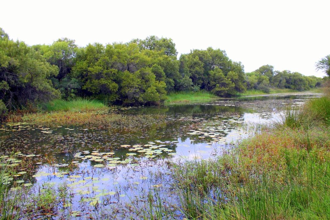 Photo of Others in Hammanskraal