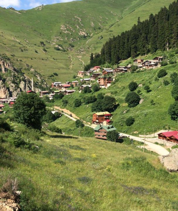 Photo of Others in Caykara