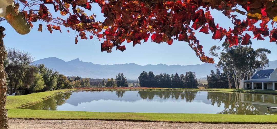 Photo of Others in Tulbagh