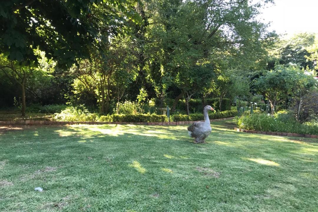Photo of Others in Dullstroom