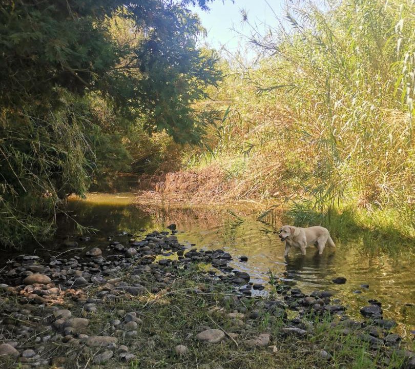 Photo of Others in Tulbagh