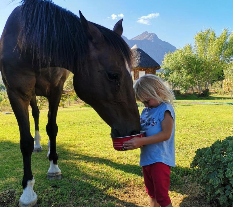 Photo of Others in Tulbagh