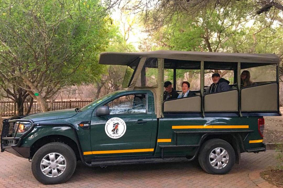 Photo of Others in Sabiepark