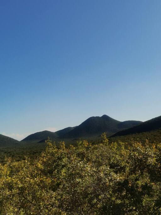 Photo of Others in Thabazimbi