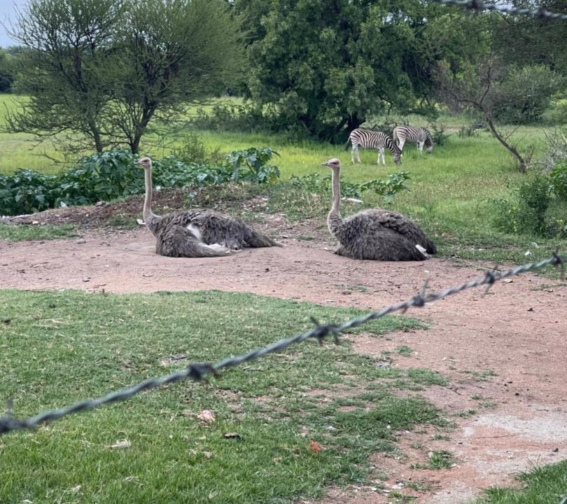 Photo of Others in Soshanguve