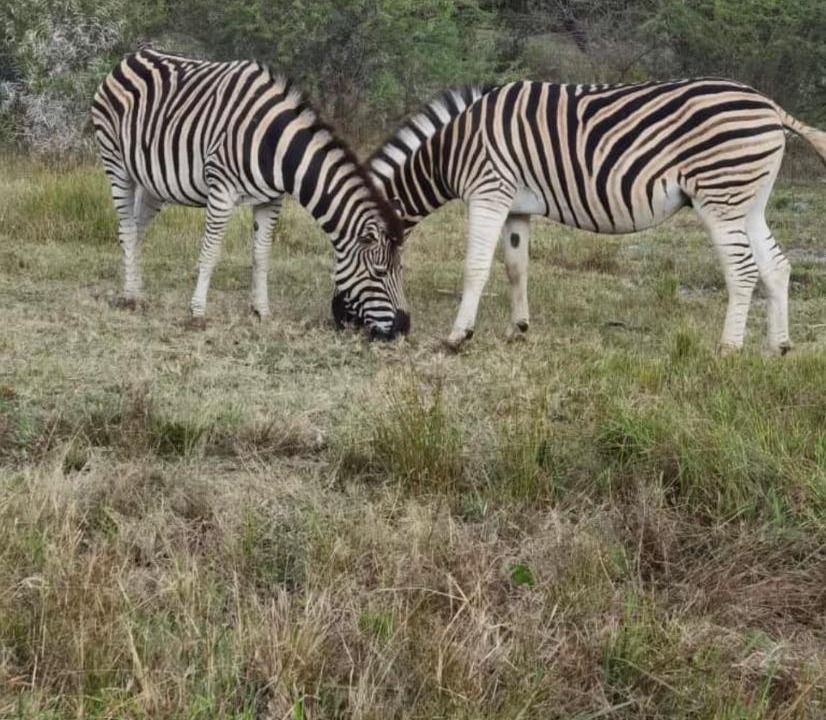 Photo of Others in Soshanguve