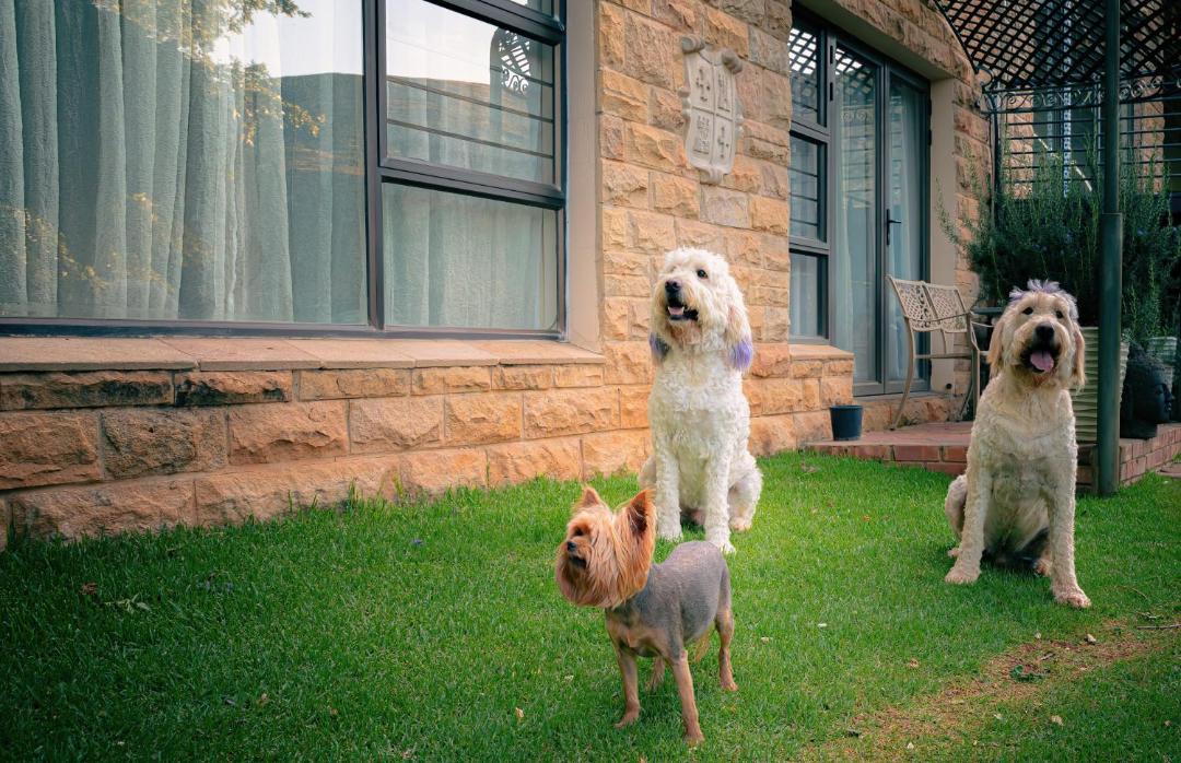 Photo of Others in Clarens
