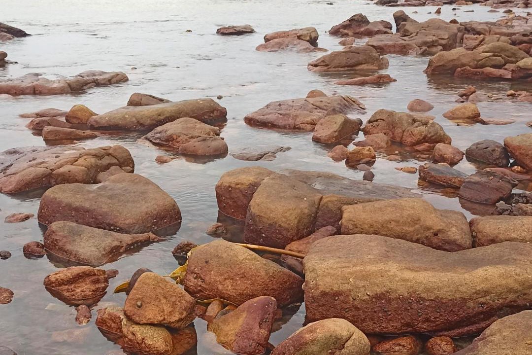 Photo of Others in Kommetjie