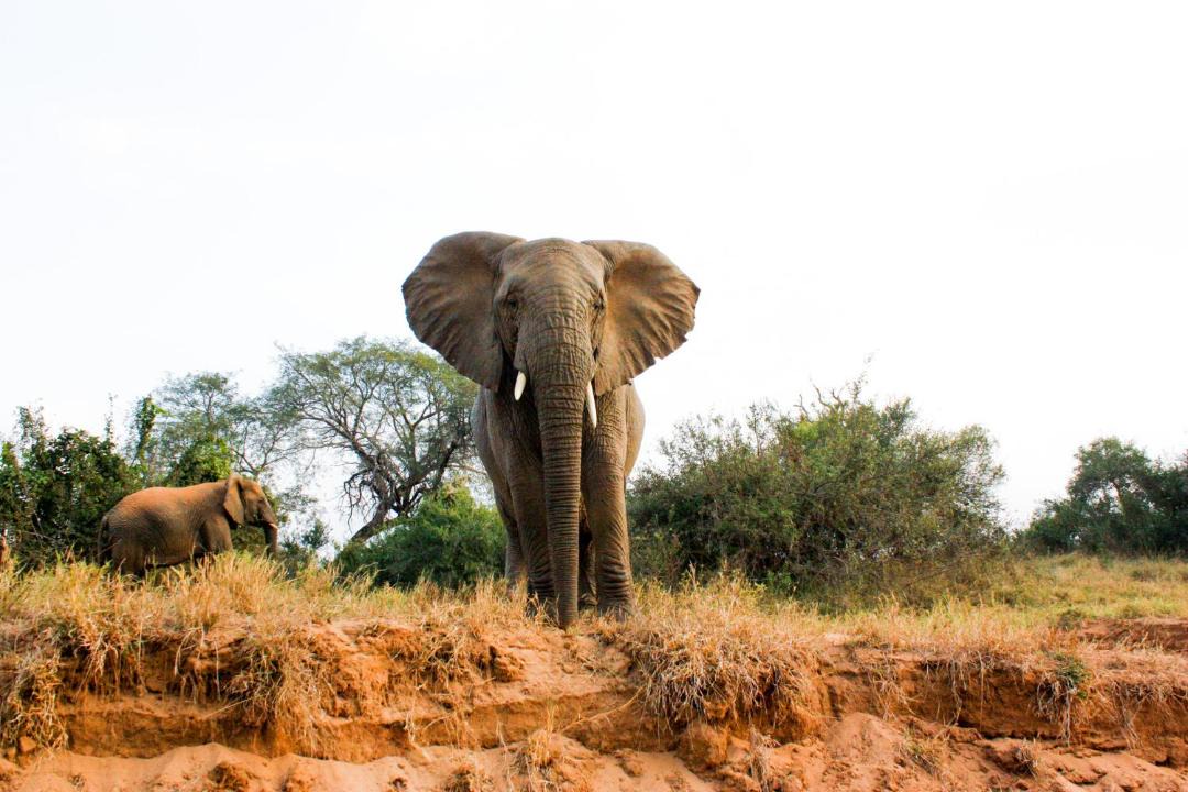 Photo of Others in Maruleng