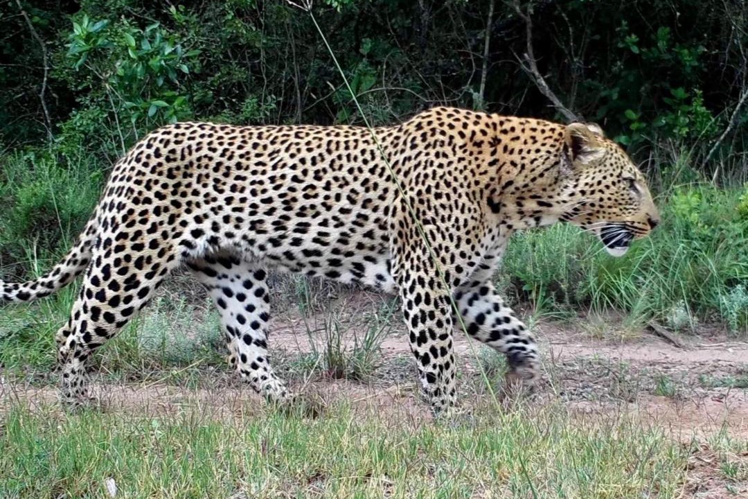 Photo of Others in Makhado