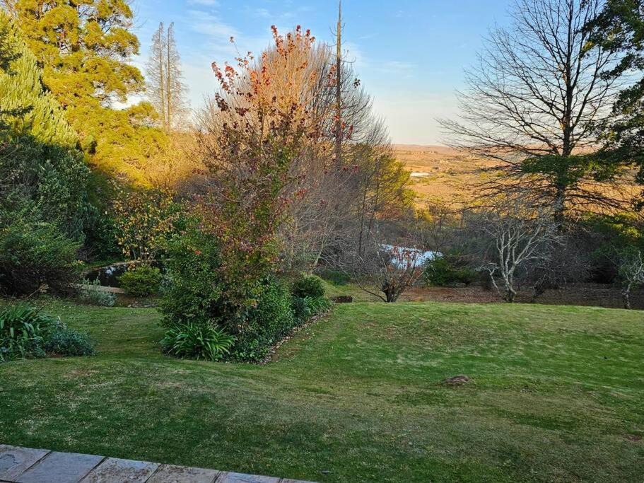 Photo of Others in Dullstroom