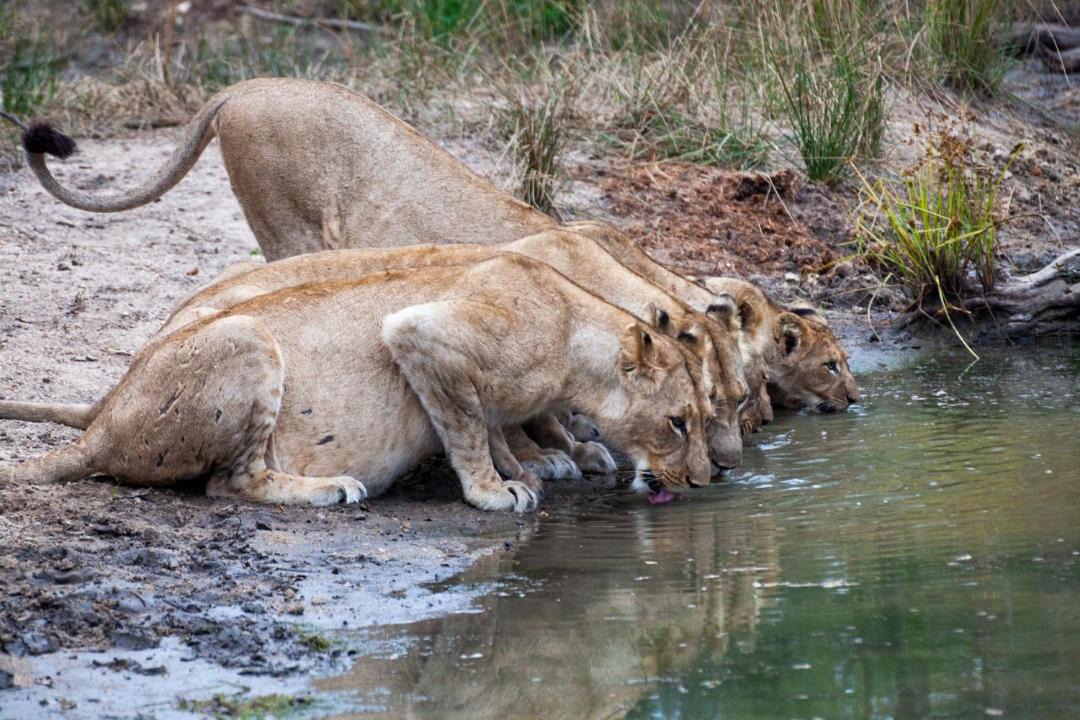 Photo of Others in Maruleng