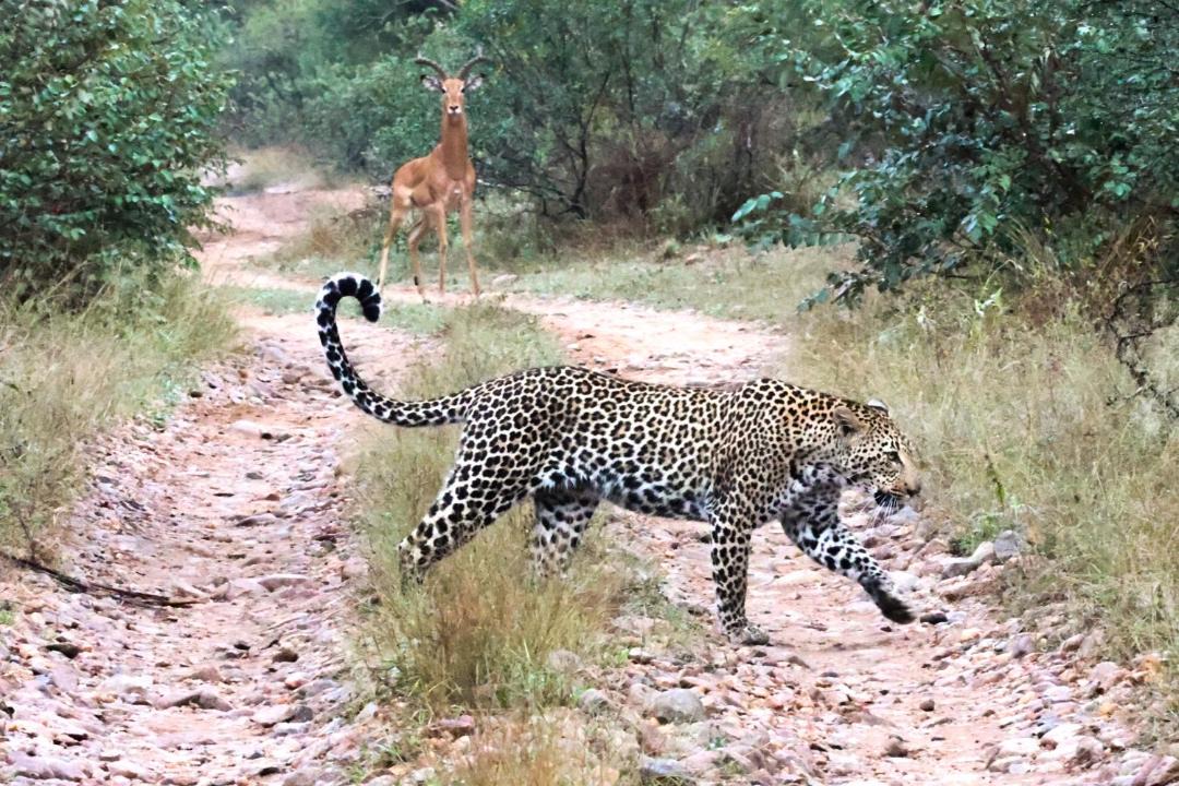 Photo of Others in Maruleng