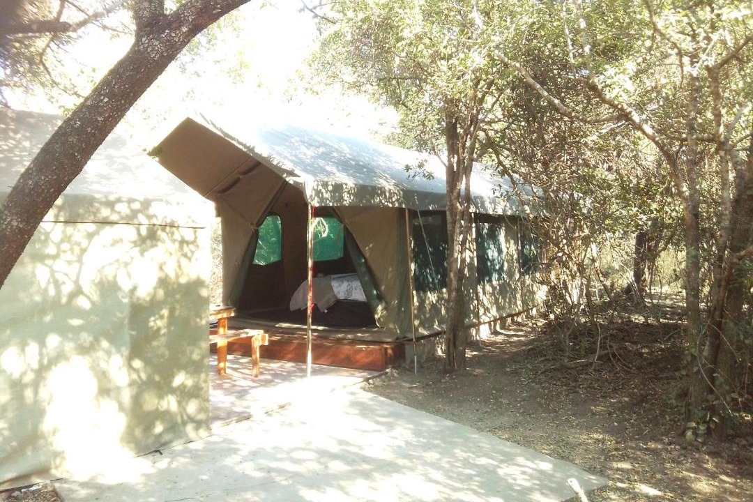Photo of Others in Thorny Bush Game Reserve