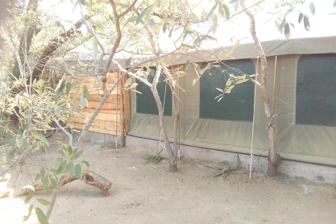 Photo of Others in Thorny Bush Game Reserve
