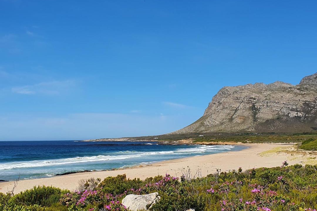 Photo of Others in Kleinmond