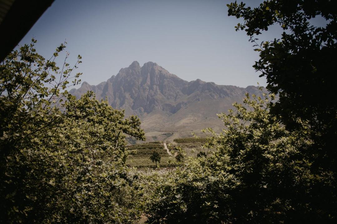 Photo of Others in Tulbagh