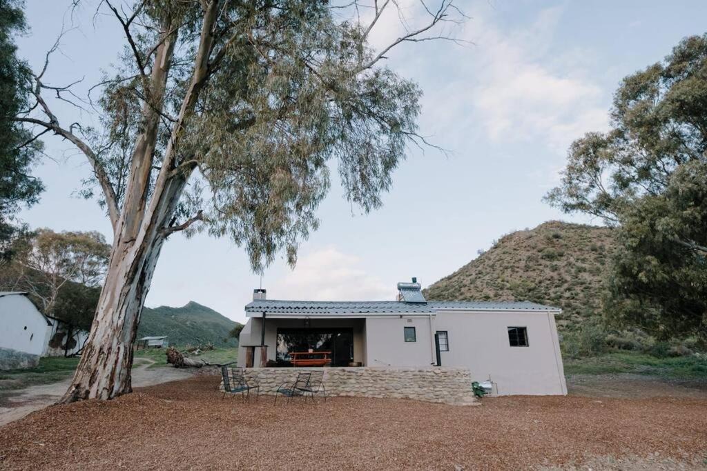 Photo of Buildings in Langeberg