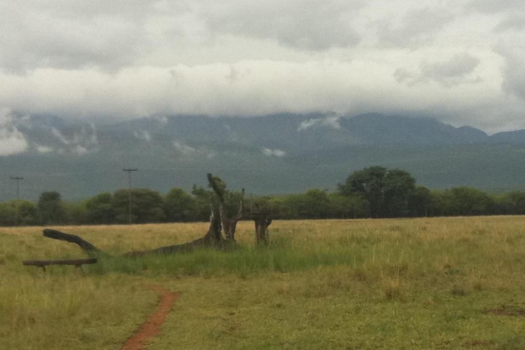 Photo of Others in Thabazimbi