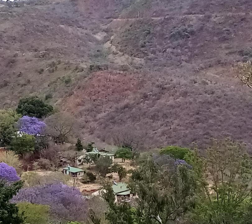 Photo of Others in Umjindi