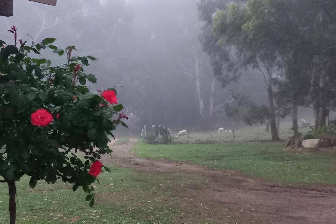 Photo of Others in Wakkerstroom
