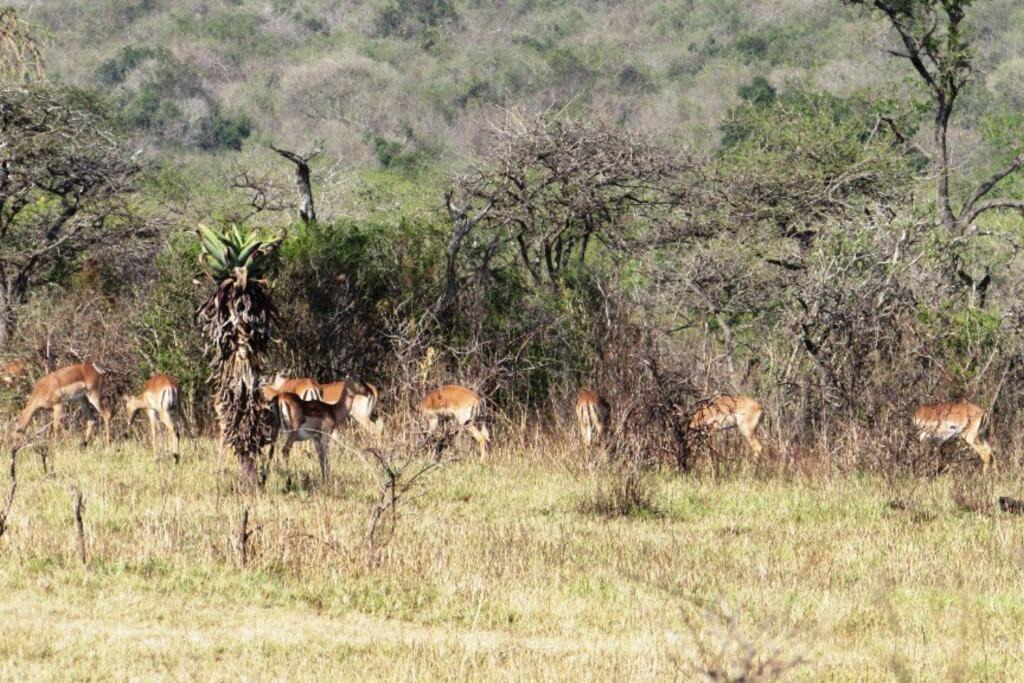 Photo of Others in Pietermaritzburg