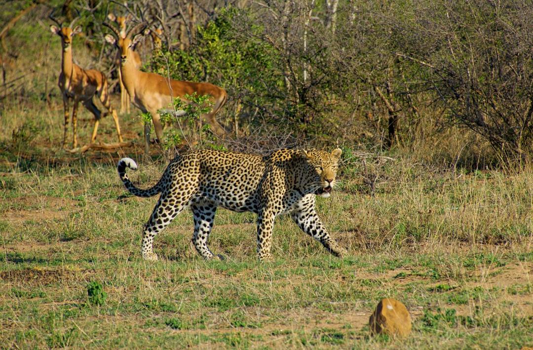 Photo of Others in Buffelspruit