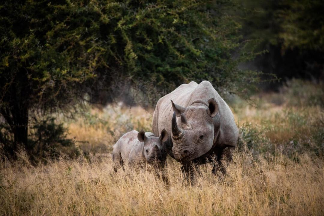 Photo of Others in Buffelspruit