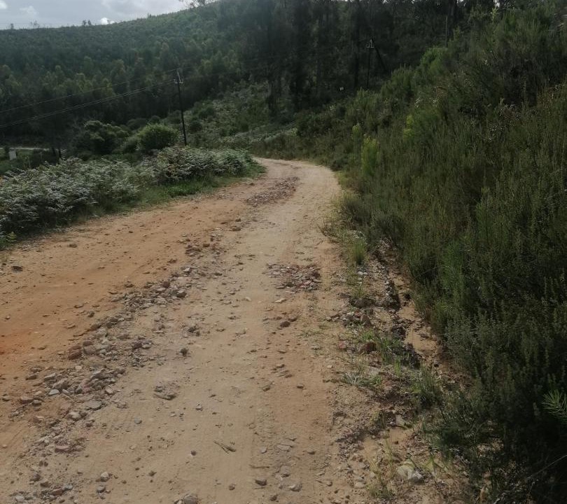 Photo of Others in Knysna