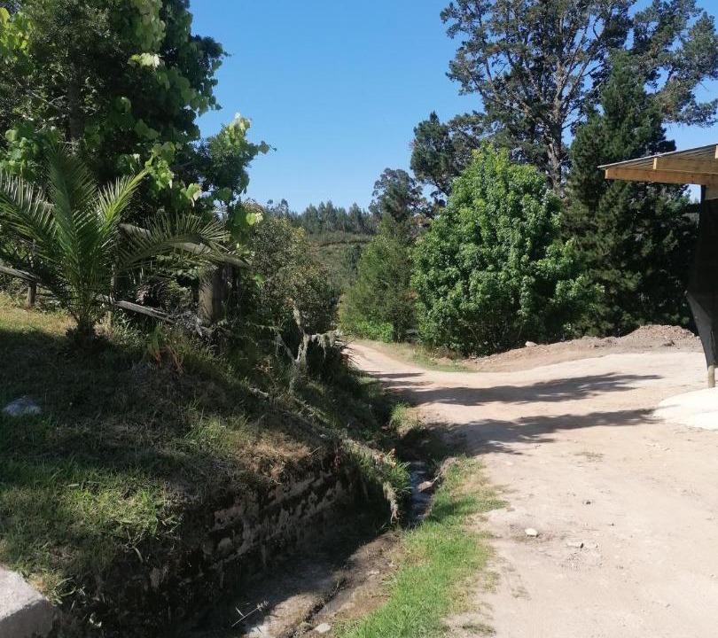 Photo of Others in Knysna