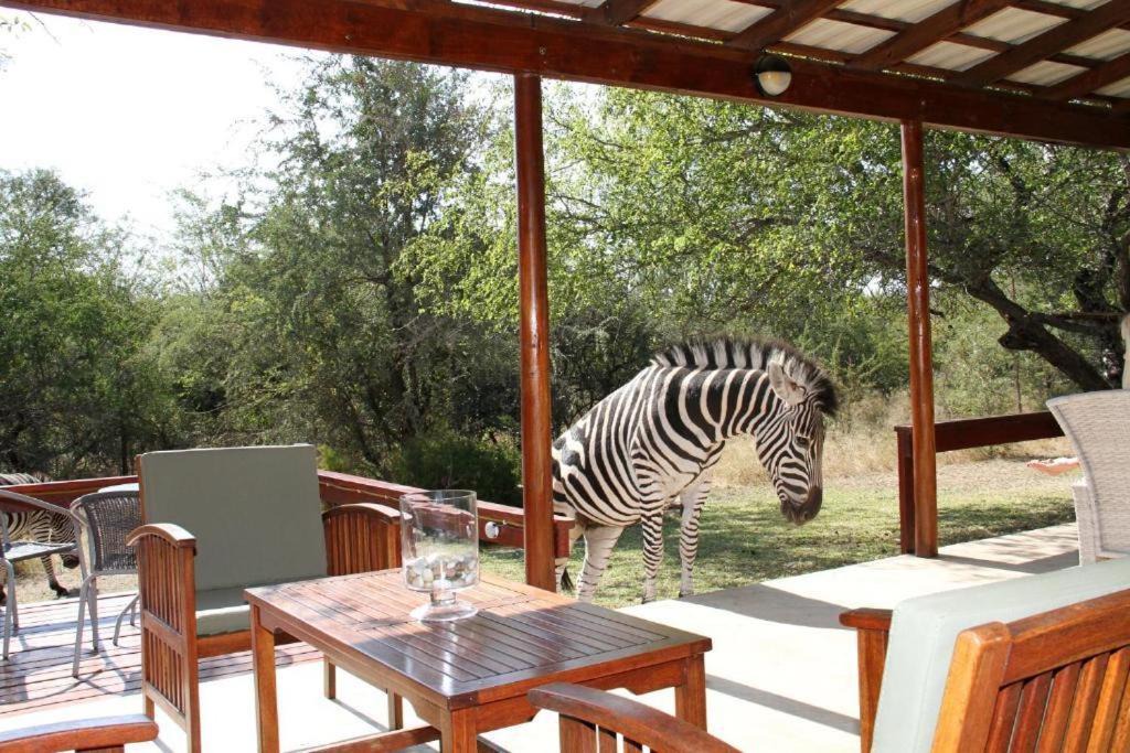 Photo of Others in Marloth Park