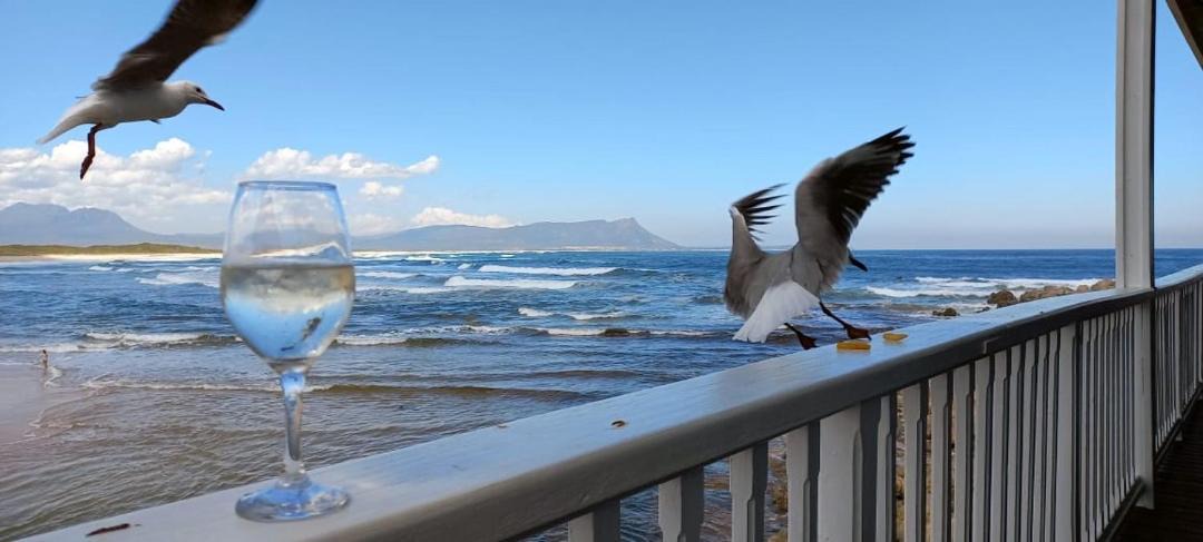 Photo of Others in Kleinmond