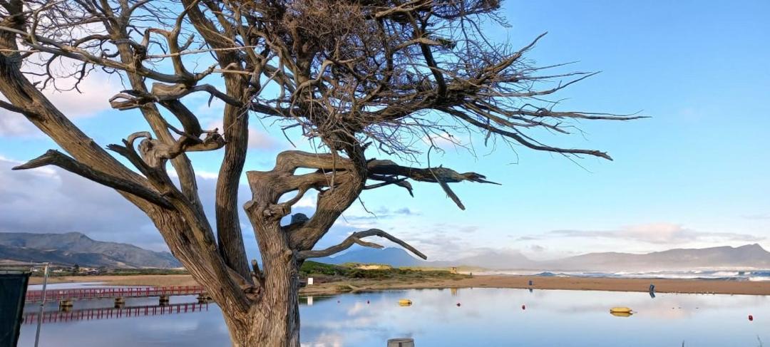 Photo of Others in Kleinmond