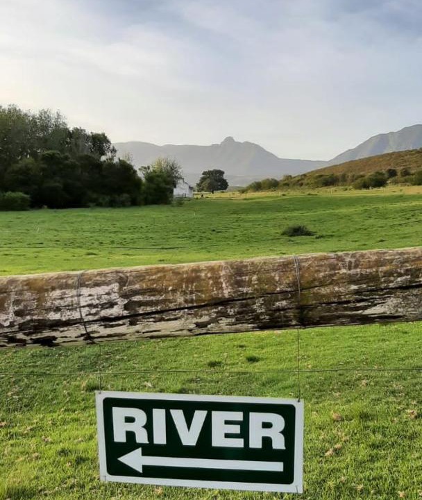 Photo of Others in Riversdale