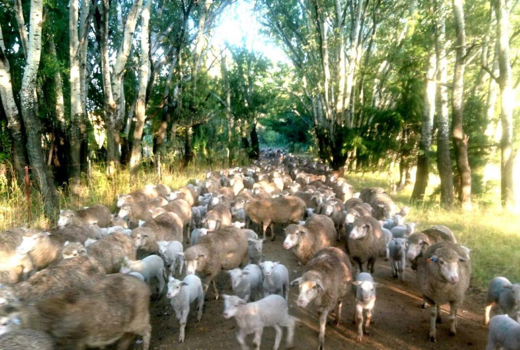 Photo of Others in Mohokare