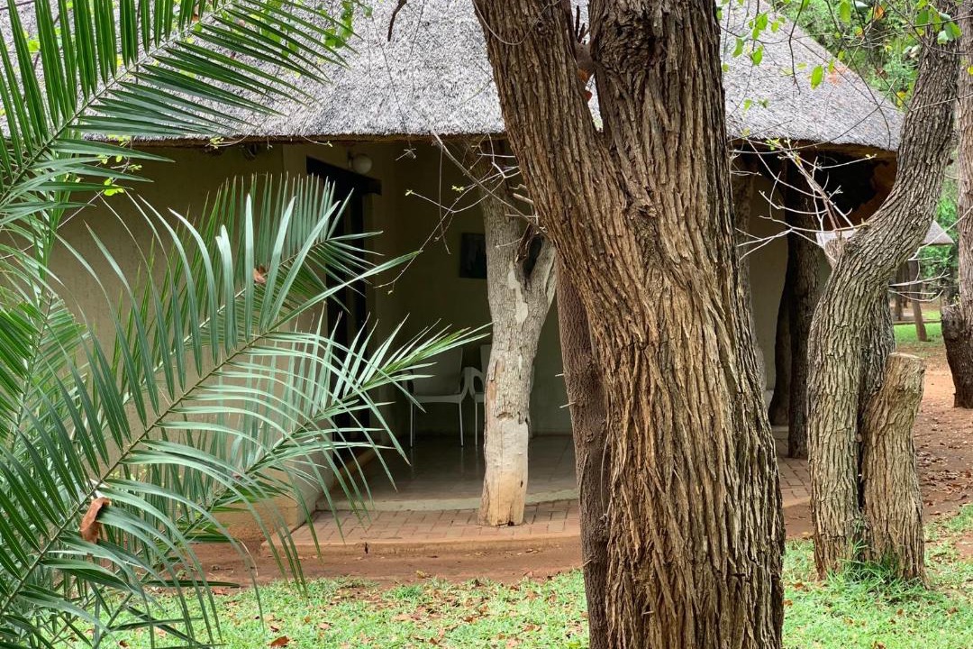 Photo of Others in Mopani