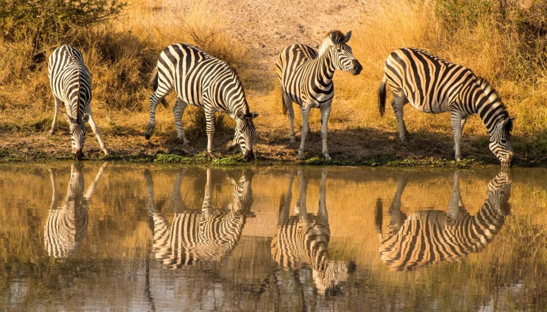 Photo of Others in Buffelspruit