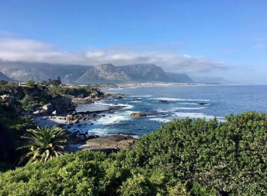Photo of Others in Hermanus