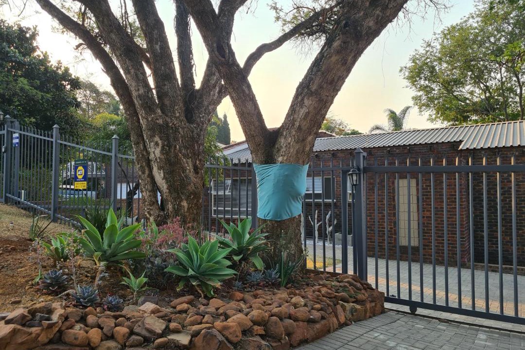 Photo of Others in Waterkloof Glen