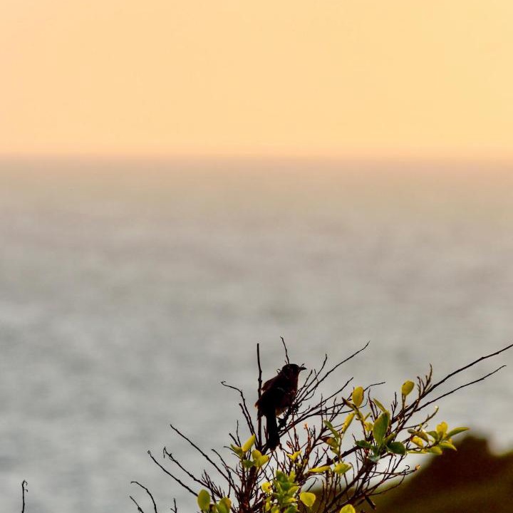 Photo of Others in Saint Francis Bay