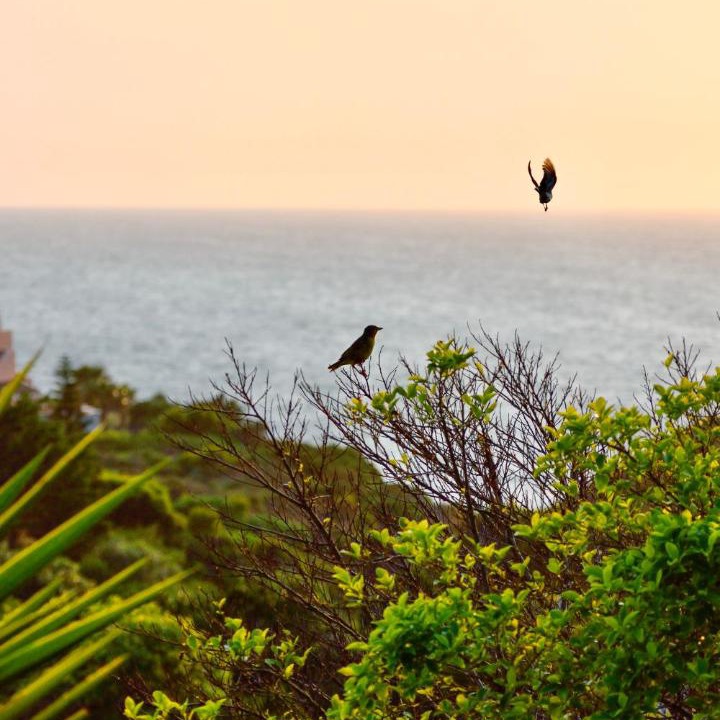 Photo of Others in Saint Francis Bay