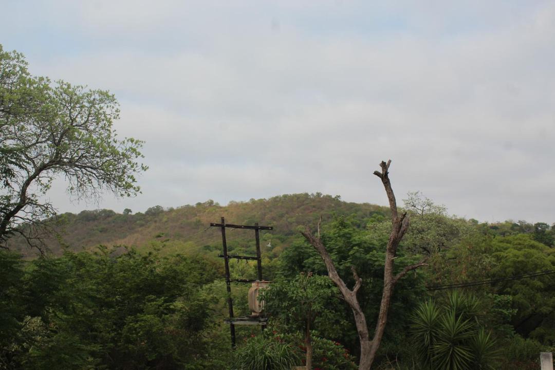 Photo of Others in Hazyview