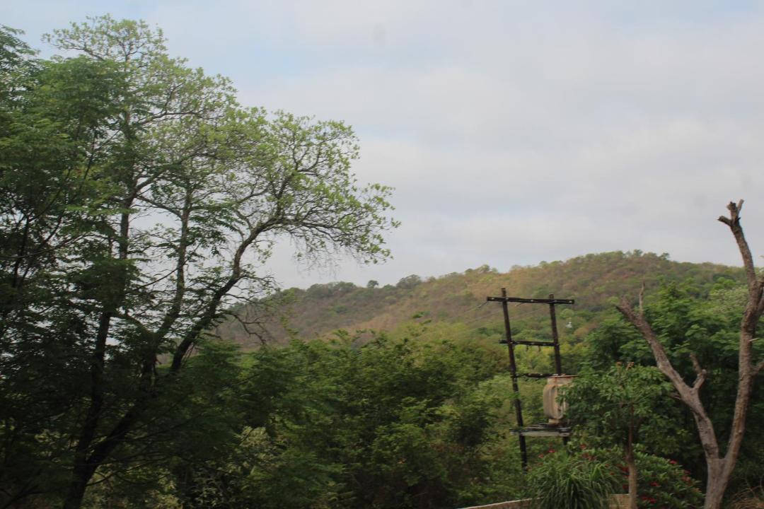 Photo of Others in Hazyview