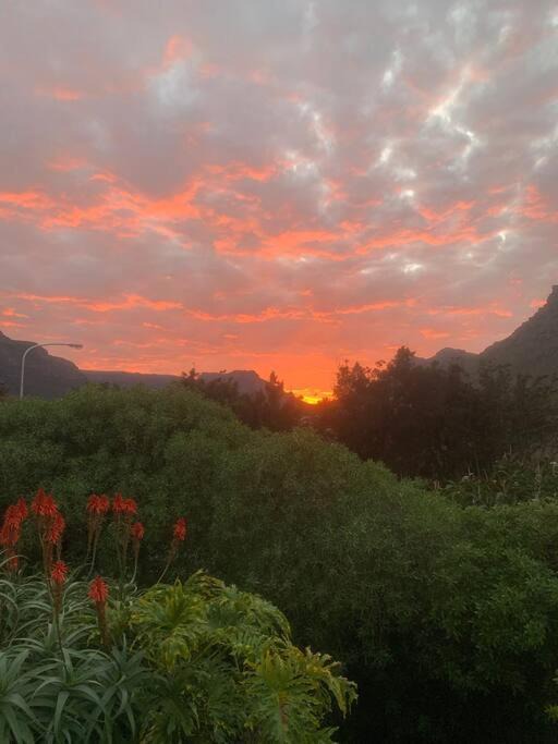 Photo of Others in Hout Bay