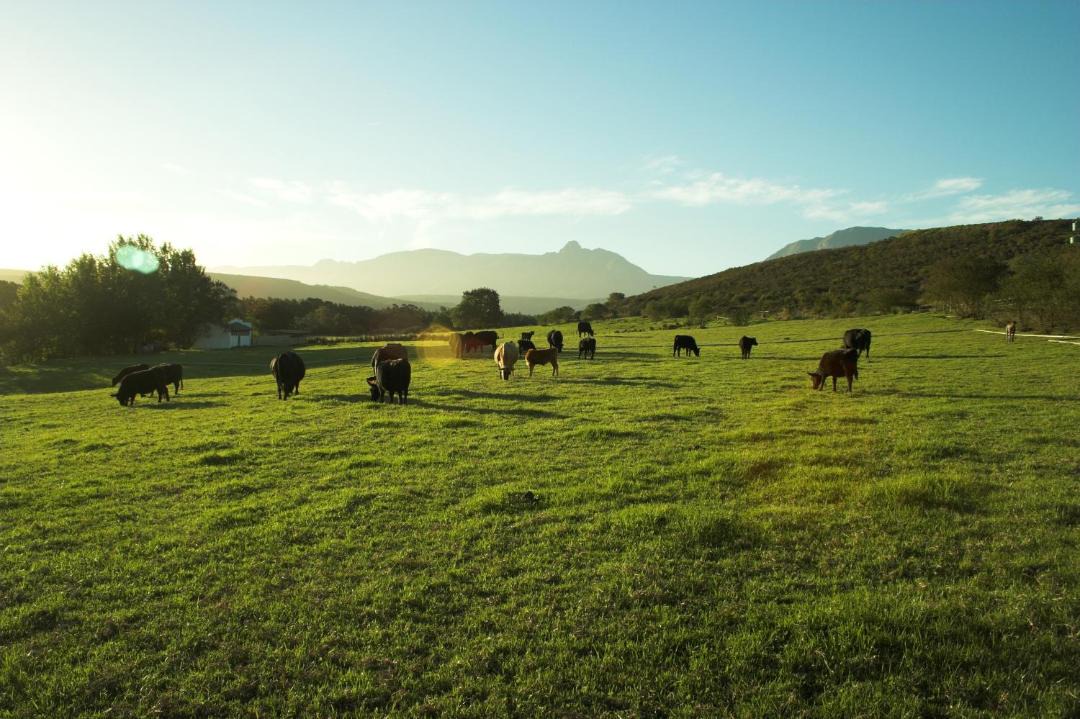 Photo of Others in Riversdale